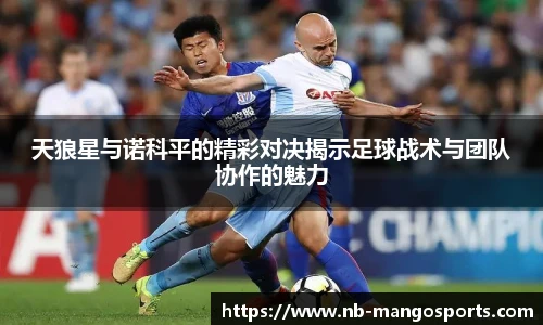 天狼星与诺科平的精彩对决揭示足球战术与团队协作的魅力